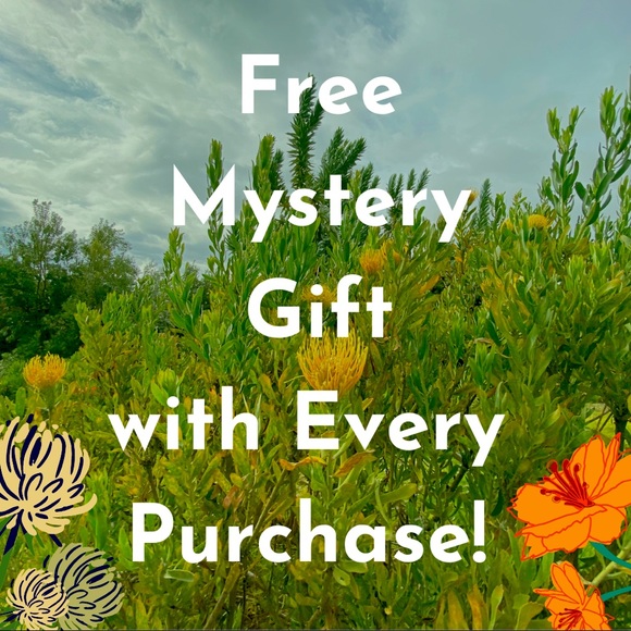 Surprise Gift Included with Each Purchase! - Picture 1 of 1